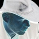 Benutzeravatar